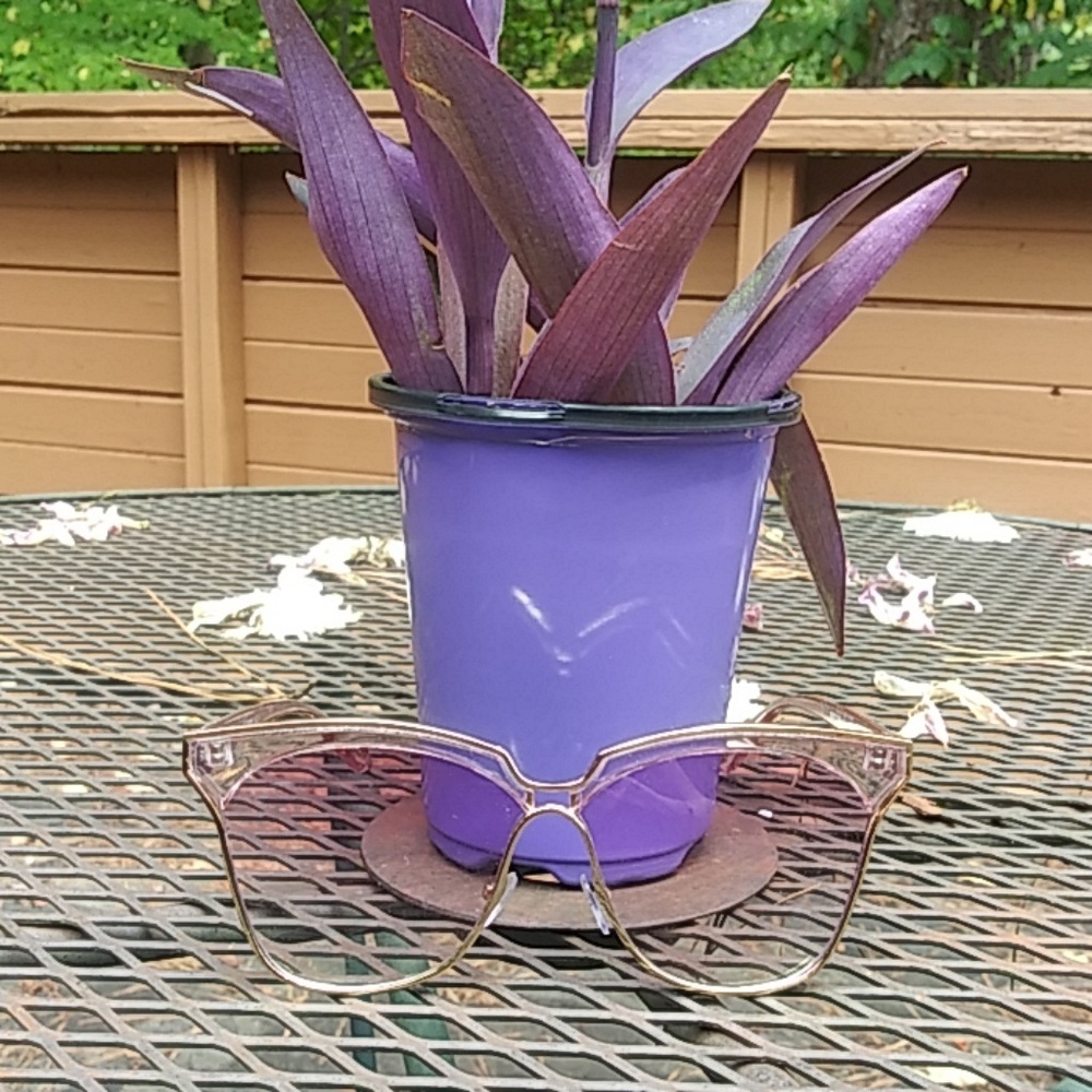 Lavender tinted sun shades